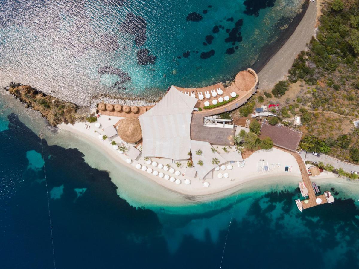 D Maris Bay