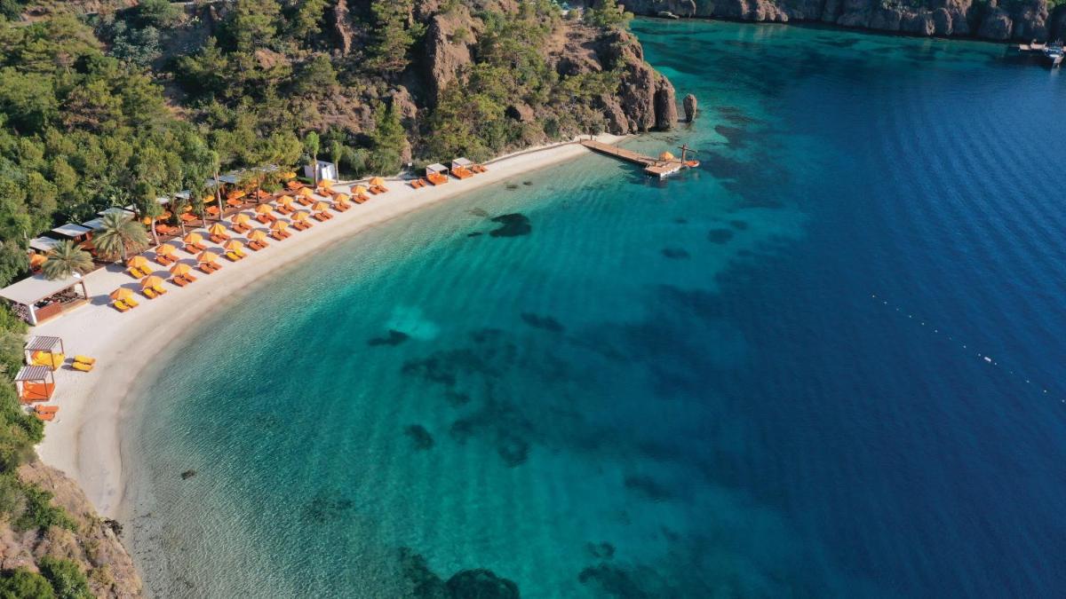 D Maris Bay