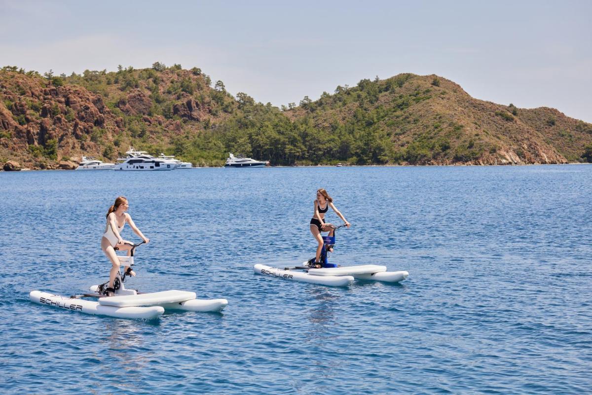 D Maris Bay