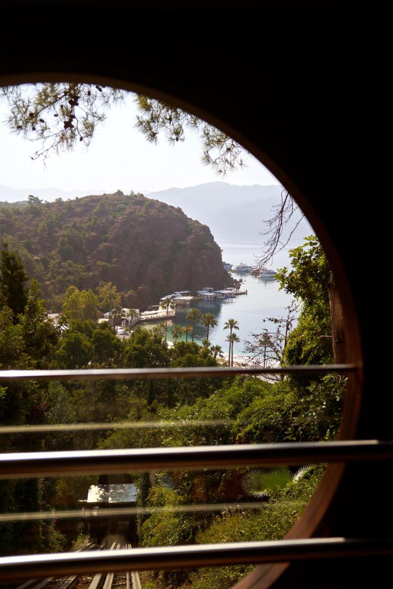D Maris Bay