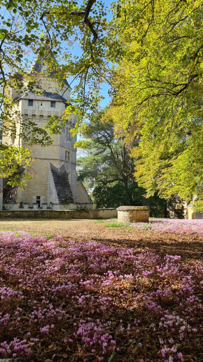 Château de Ternay