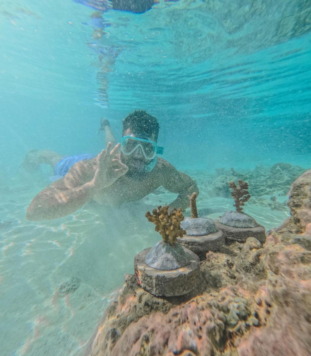 Diamonds Athuruga Maldives Resort & Spa