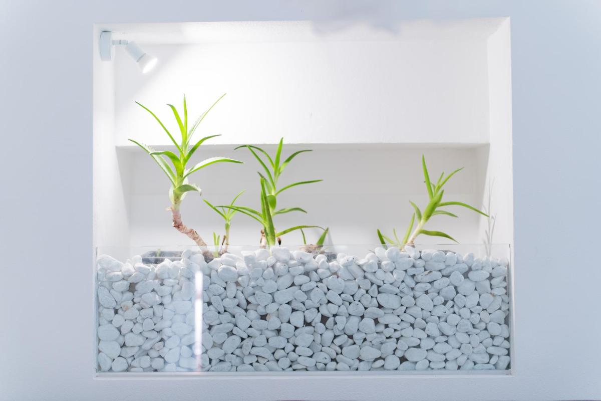 Dimora Barocca Luxury Suites