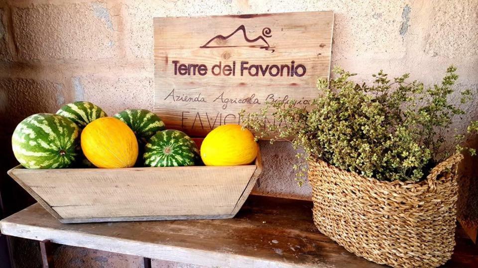 Dimora Cala del Pozzo