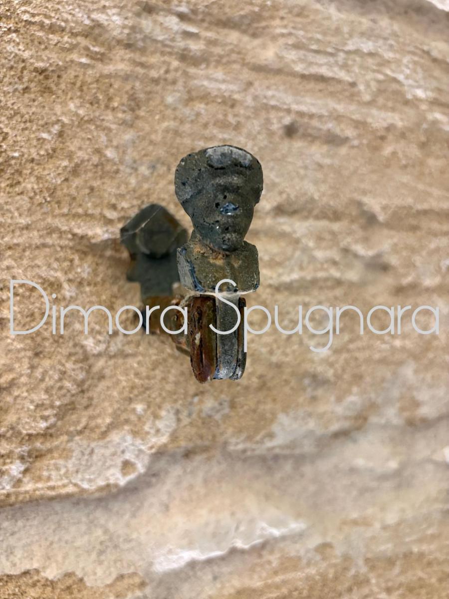 Dimora Spugnara