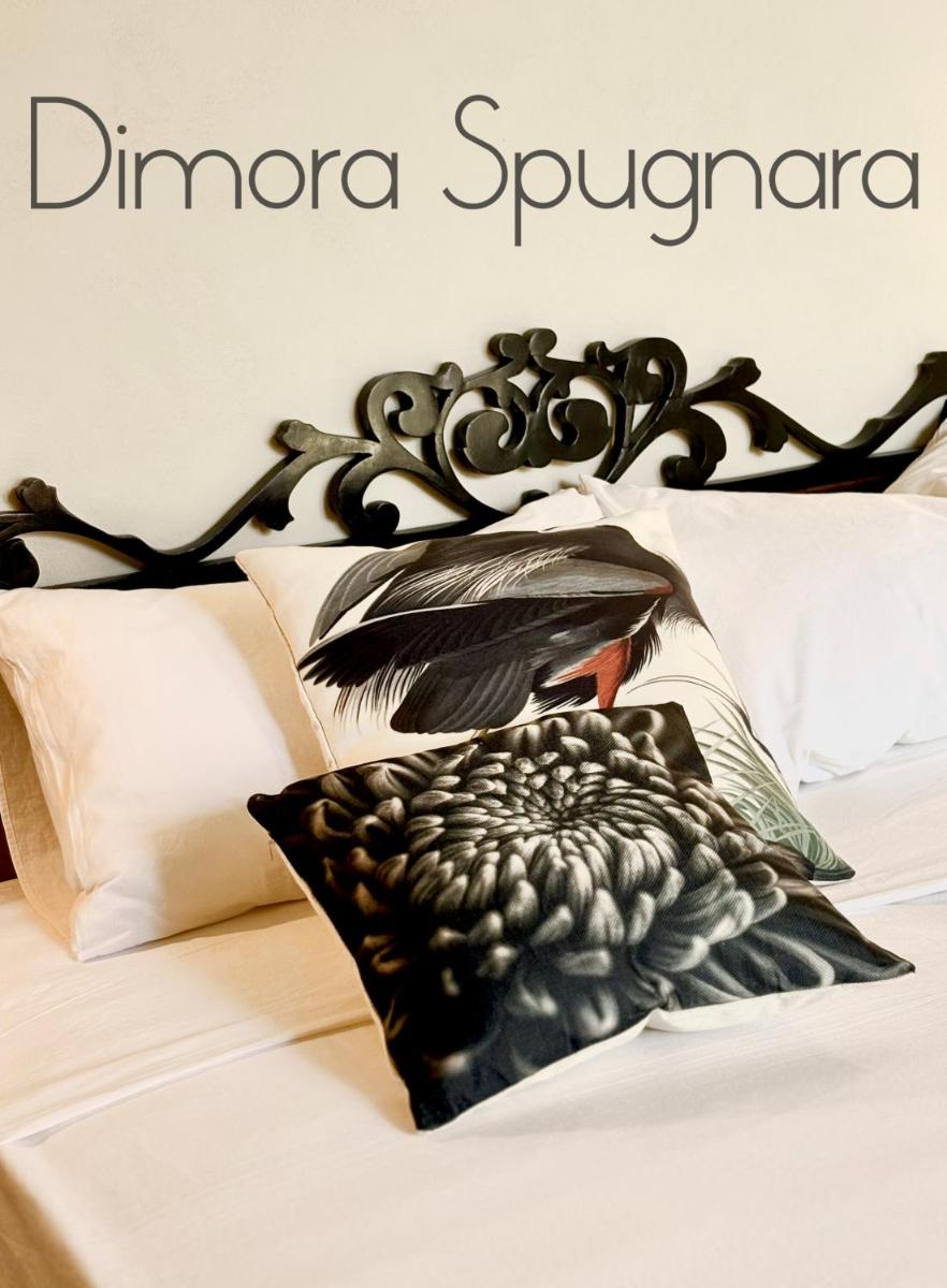 Dimora Spugnara