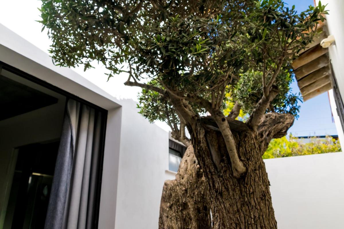 Diodorus Luxury Experience