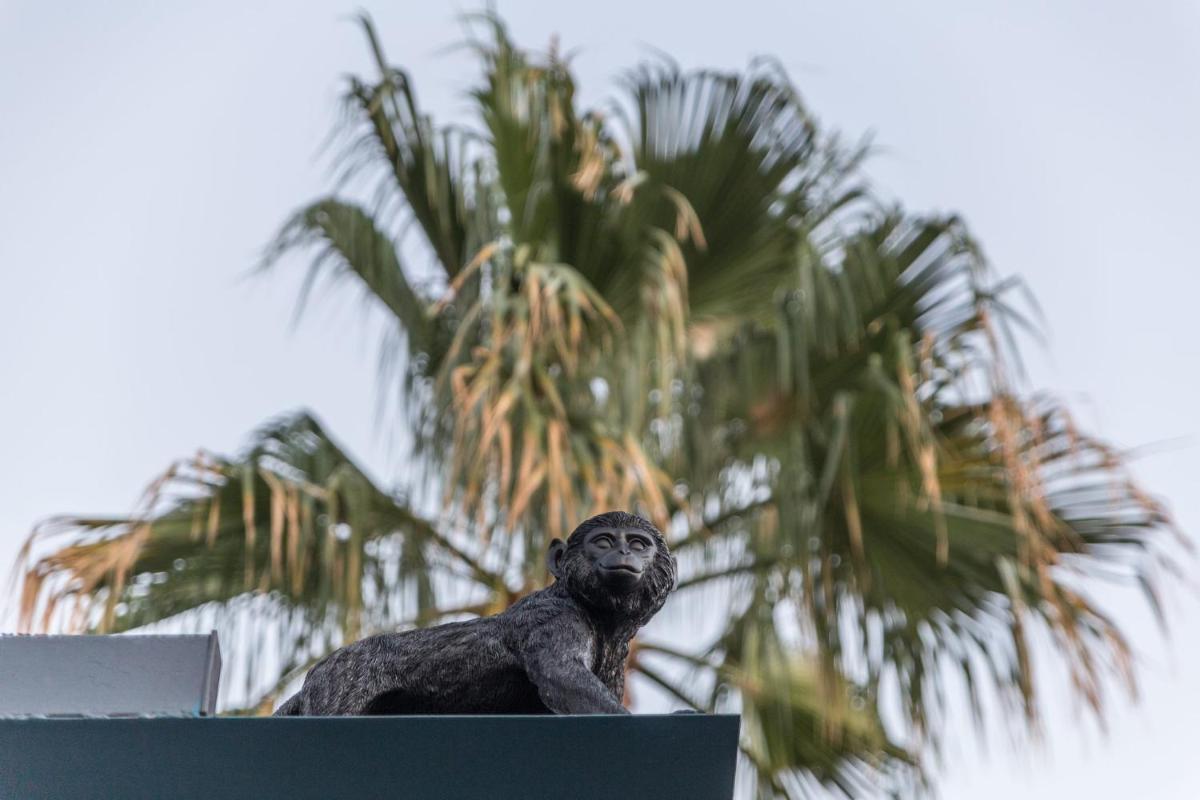 Diodorus Luxury Experience