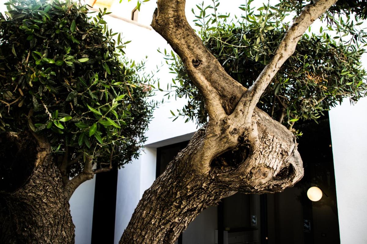 Diodorus Luxury Experience