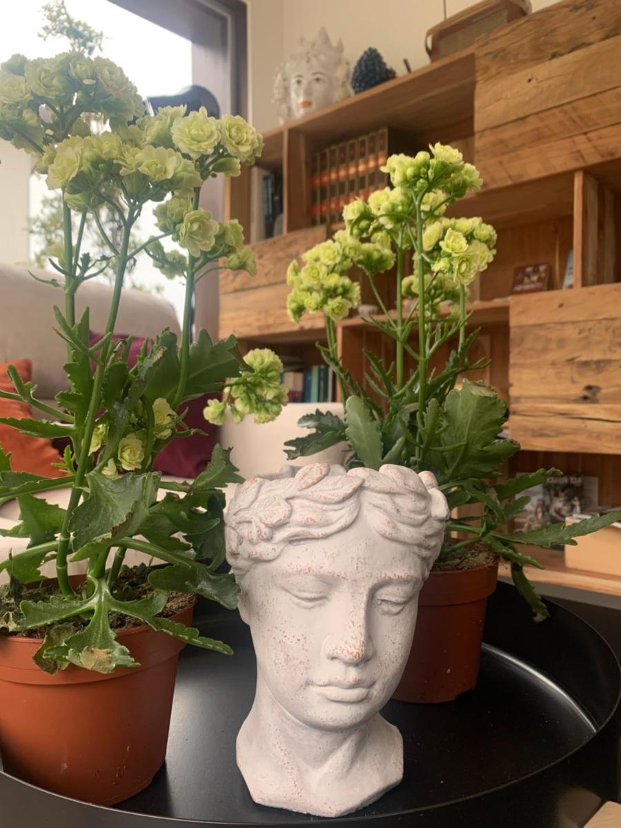 Diodorus Luxury Experience