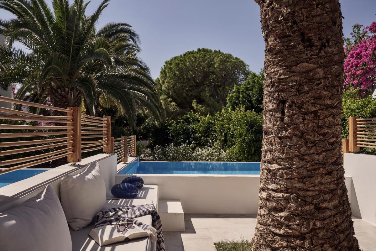 Dionysos Seaside Resort Ios