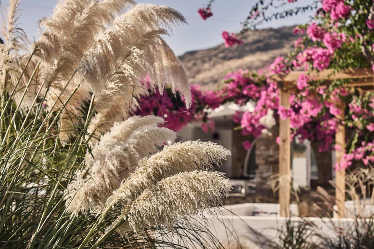 Dionysos Beach Resort & Villas