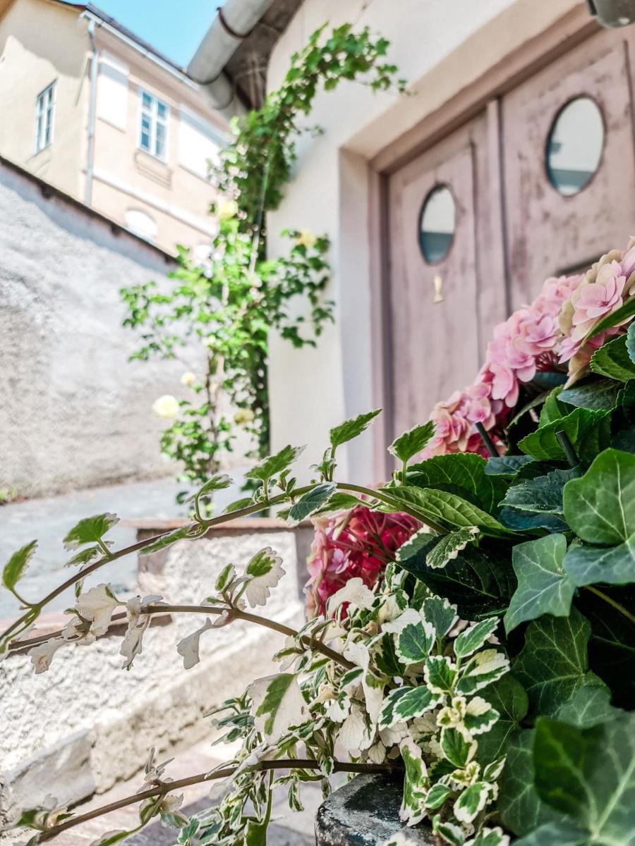 Divná pani Luxury Gallery Rooms