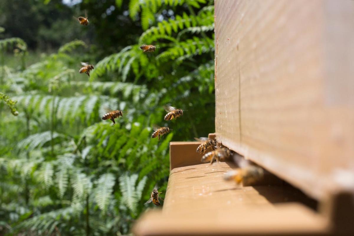 Les Hauts de Loire Relais & Châteaux