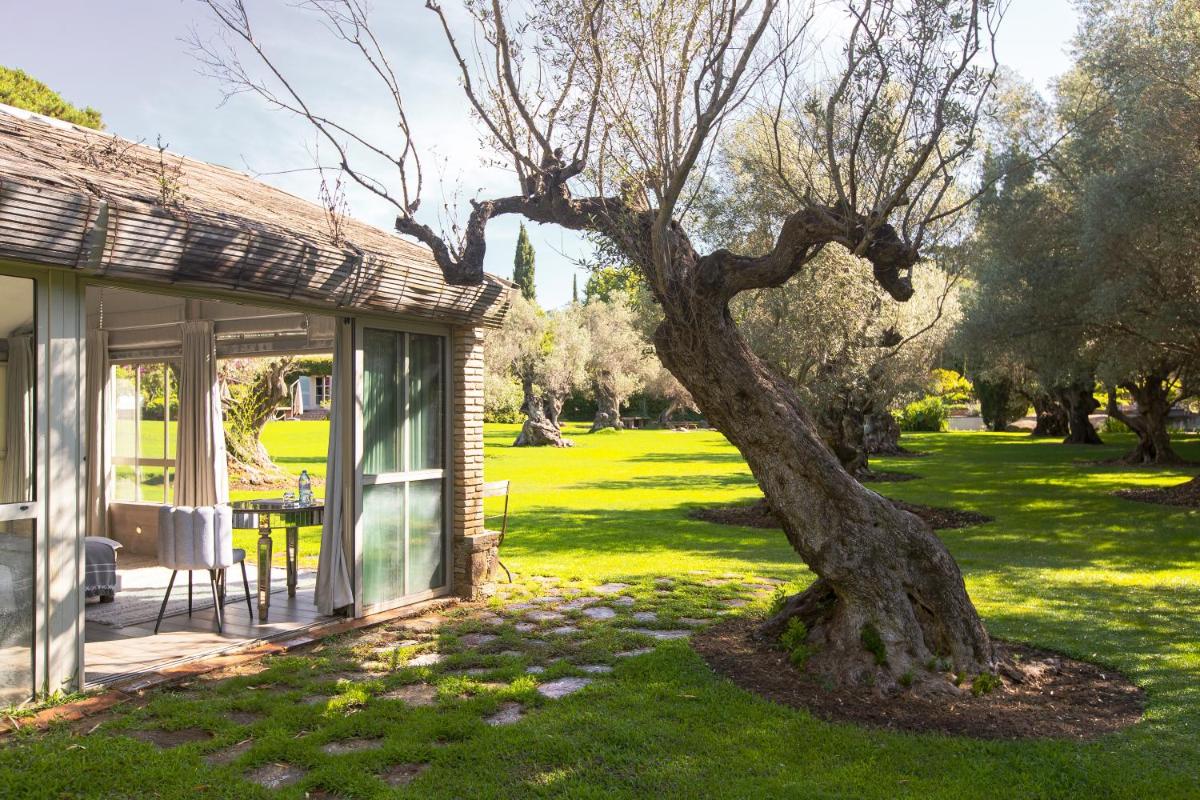 Domaine Les Mésanges