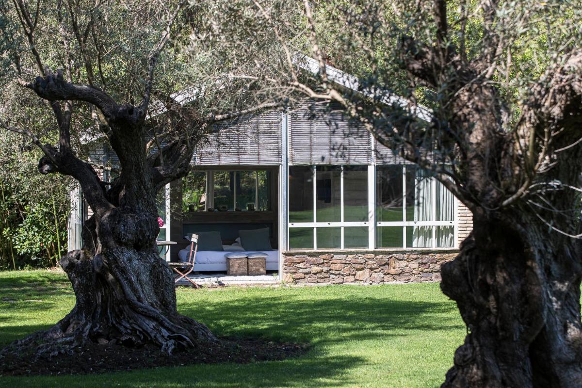 Domaine Les Mésanges