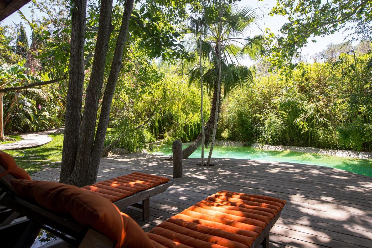 Domaine Les Mésanges