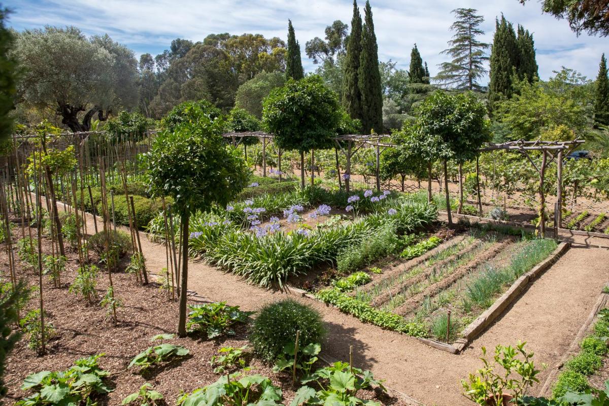 Domaine Les Mésanges