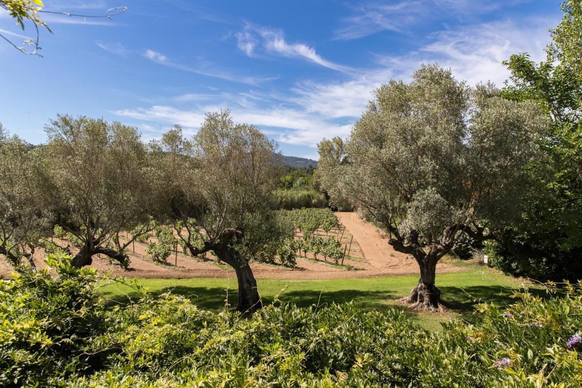 Domaine Les Mésanges