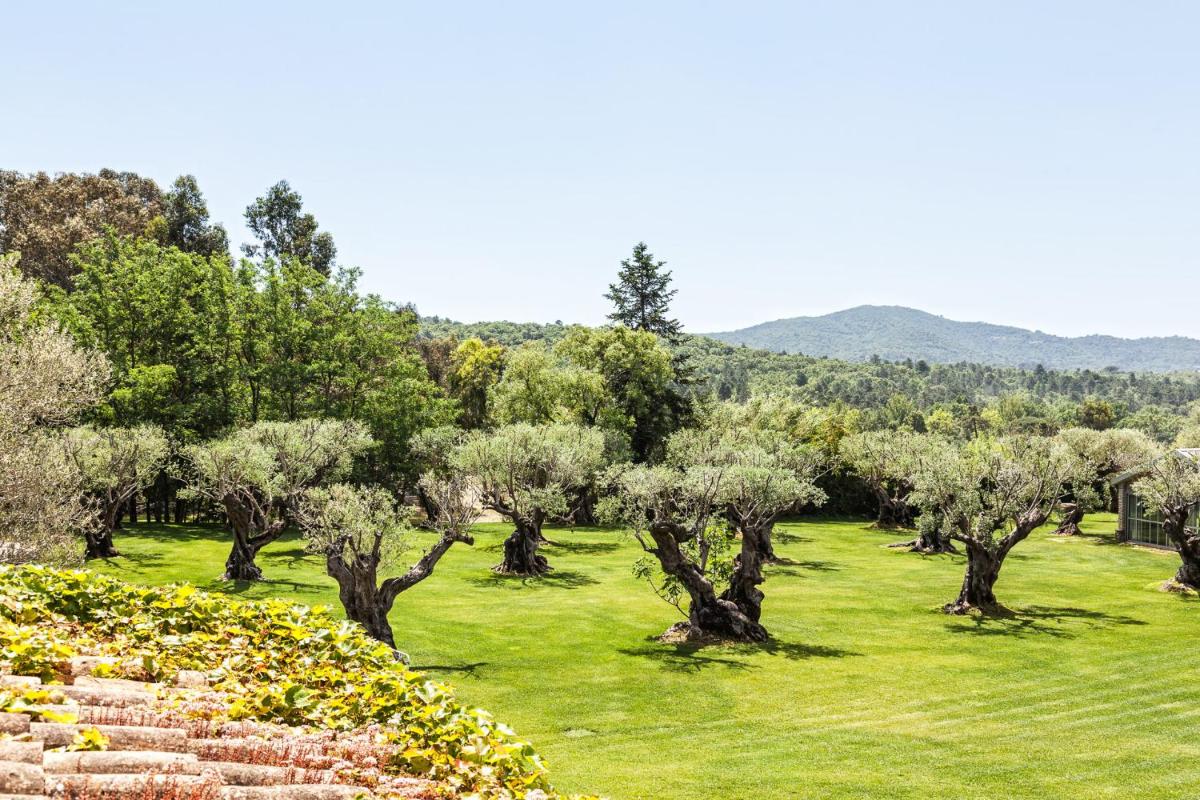 Domaine Les Mésanges