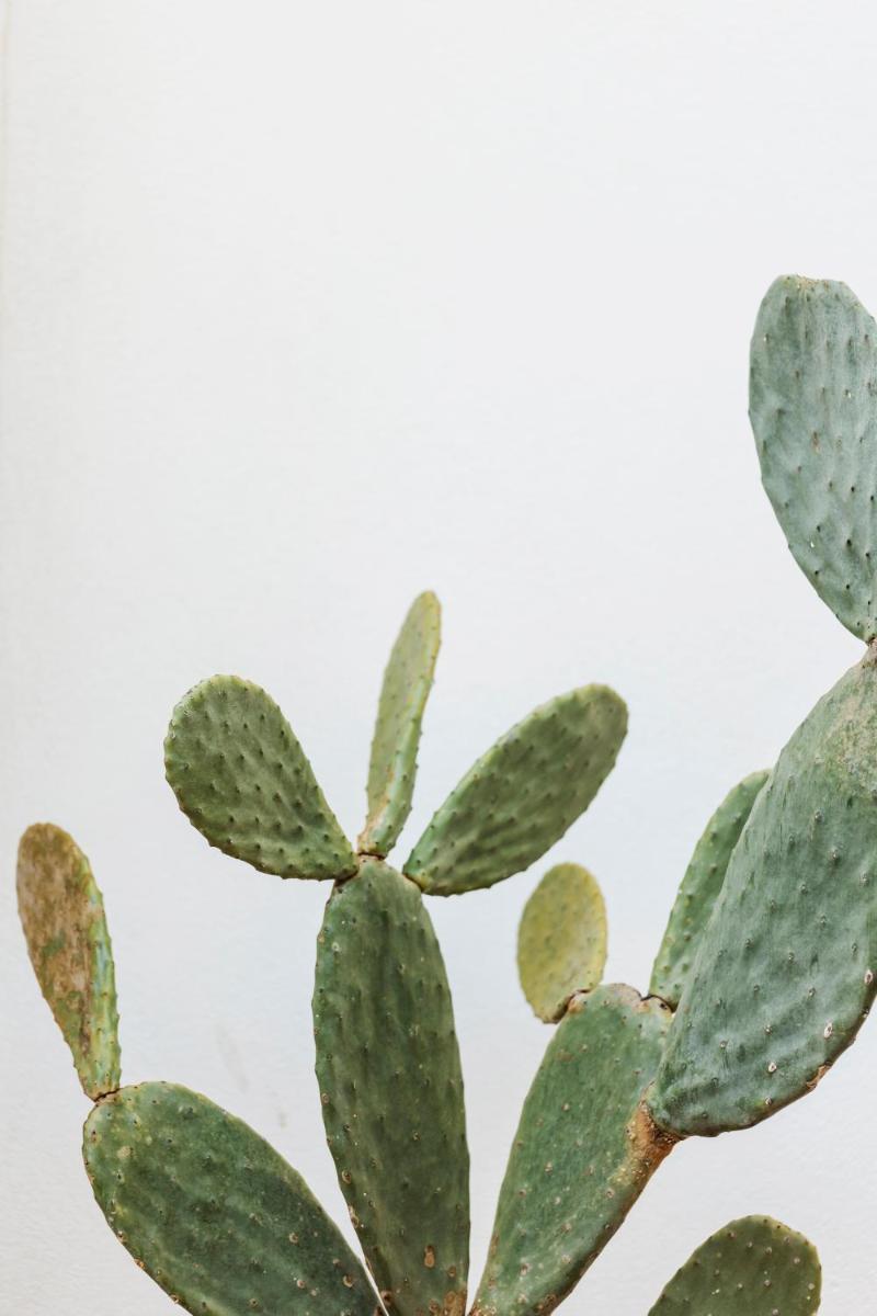 Domìa Boutique Hotel e Cucina