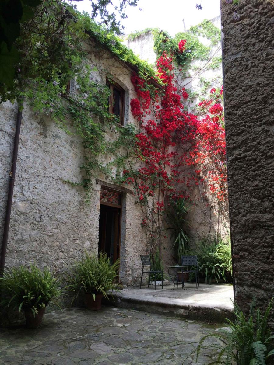 Domus Laeta
