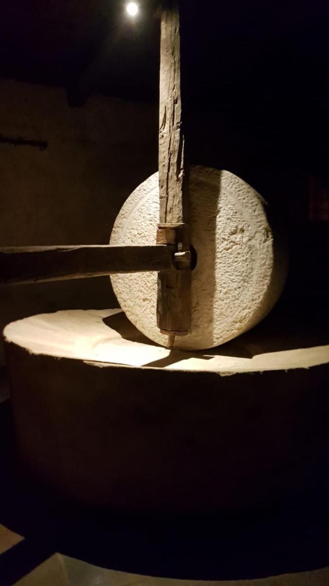 Domus Laeta