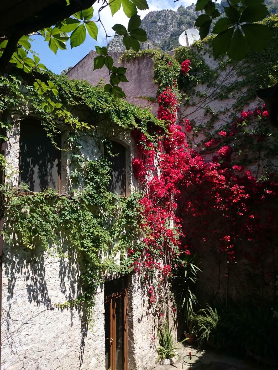 Domus Laeta