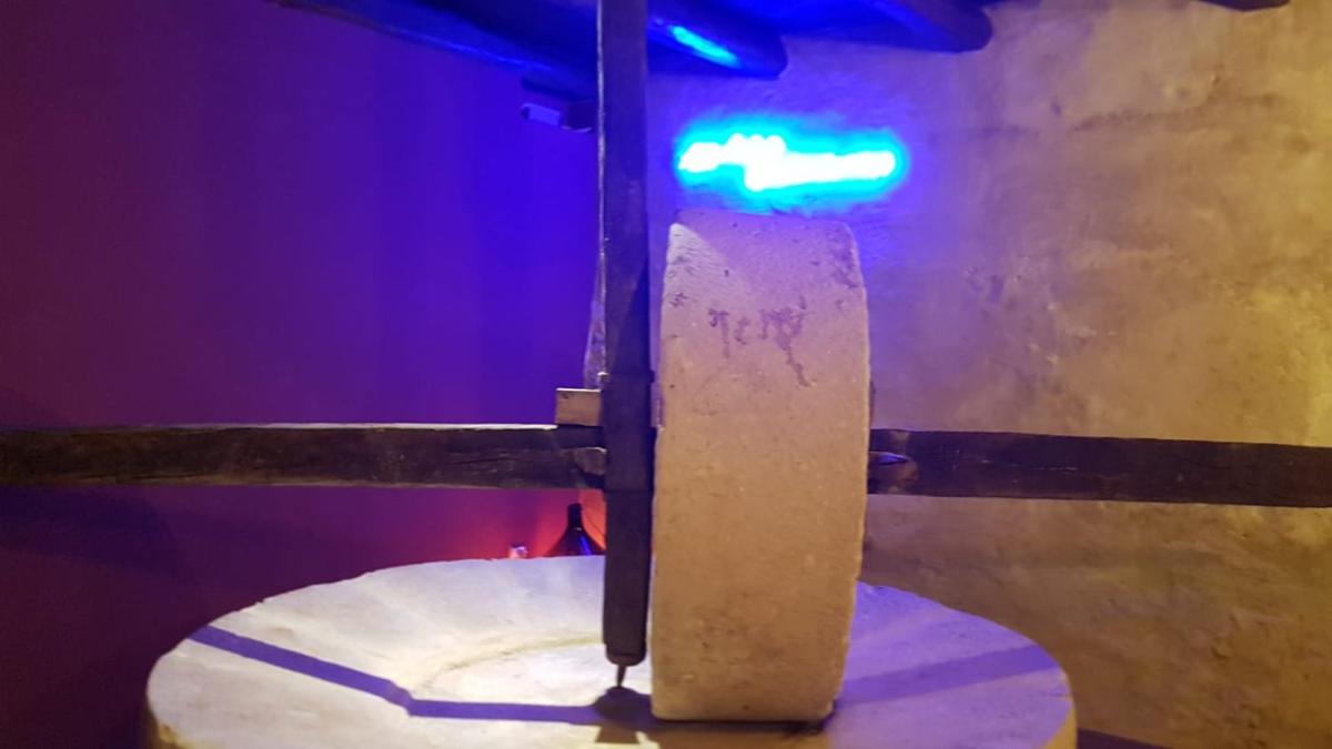 Domus Laeta