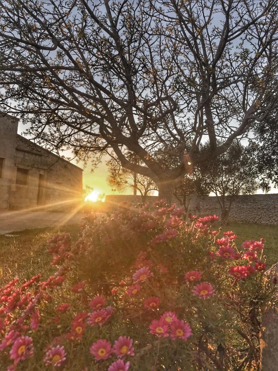 Don Agostino Relais Masseria