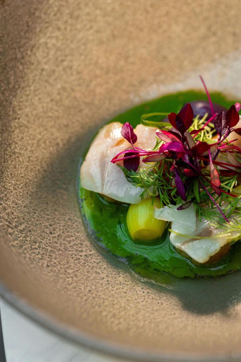 Dorothea Hotel, Budapest, Autograph Collection