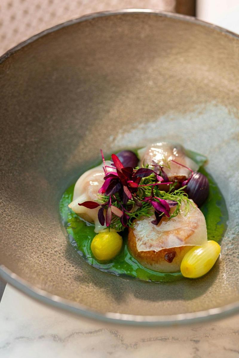 Dorothea Hotel, Budapest, Autograph Collection