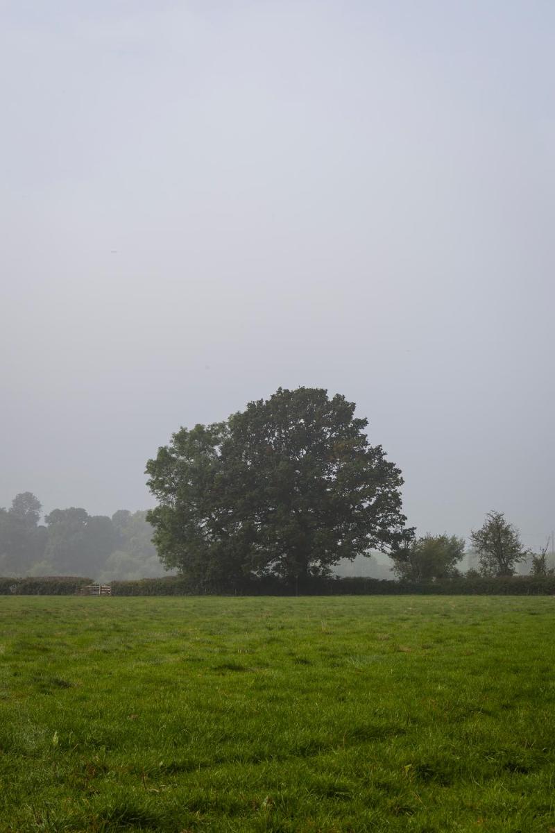 Eckington Manor