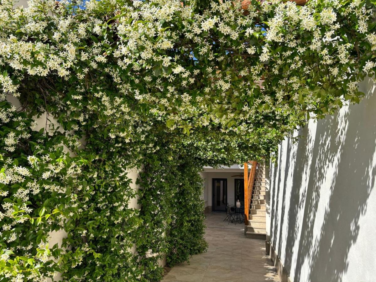 El Patio de los Jazmines Boutique-House