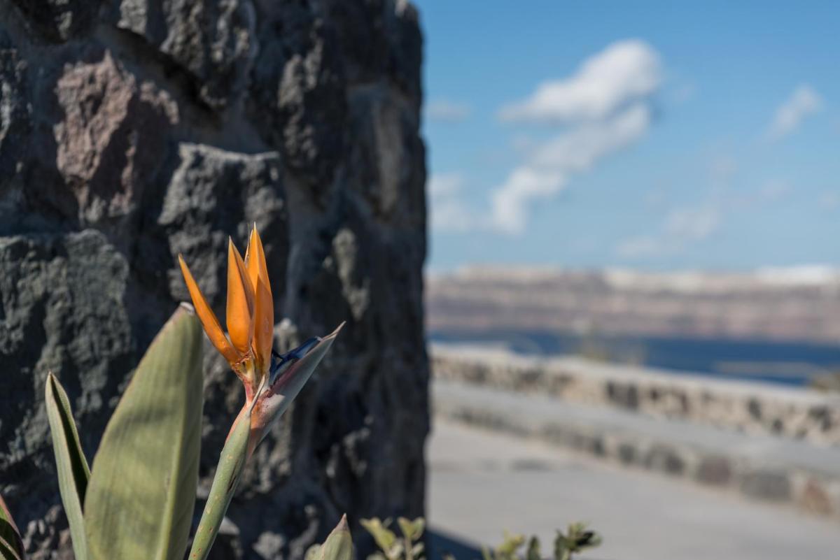 Elements of Caldera Suites