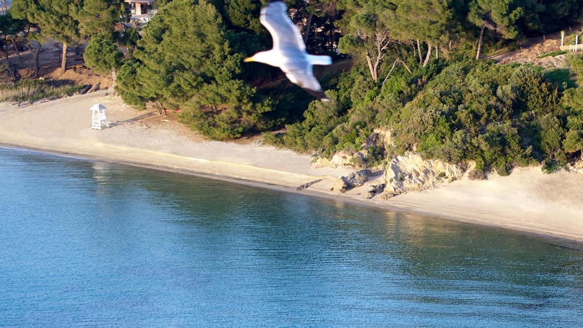 ELIVI Skiathos