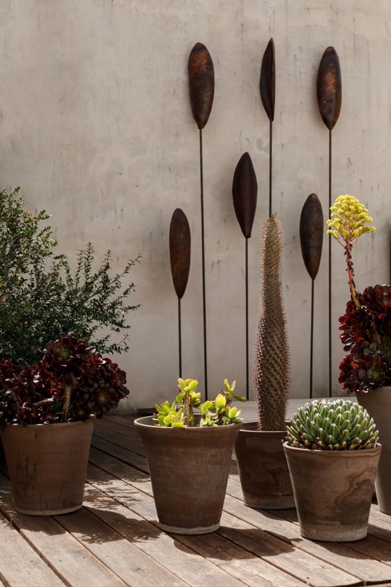 Embrace Sicily Guest House