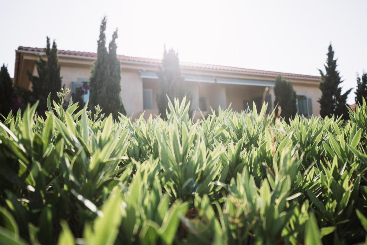 Emelisse Nature Resort