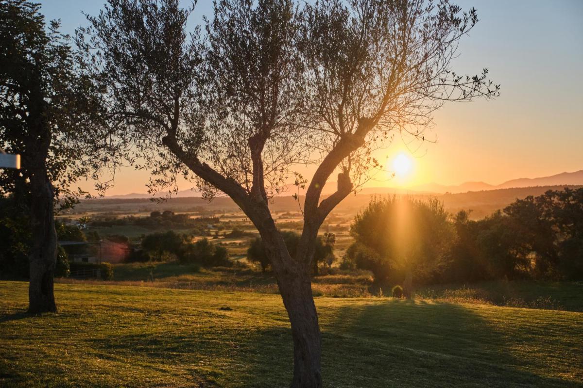 Es Figueral Nou Hotel Rural & Spa - Adults Only - Over 12