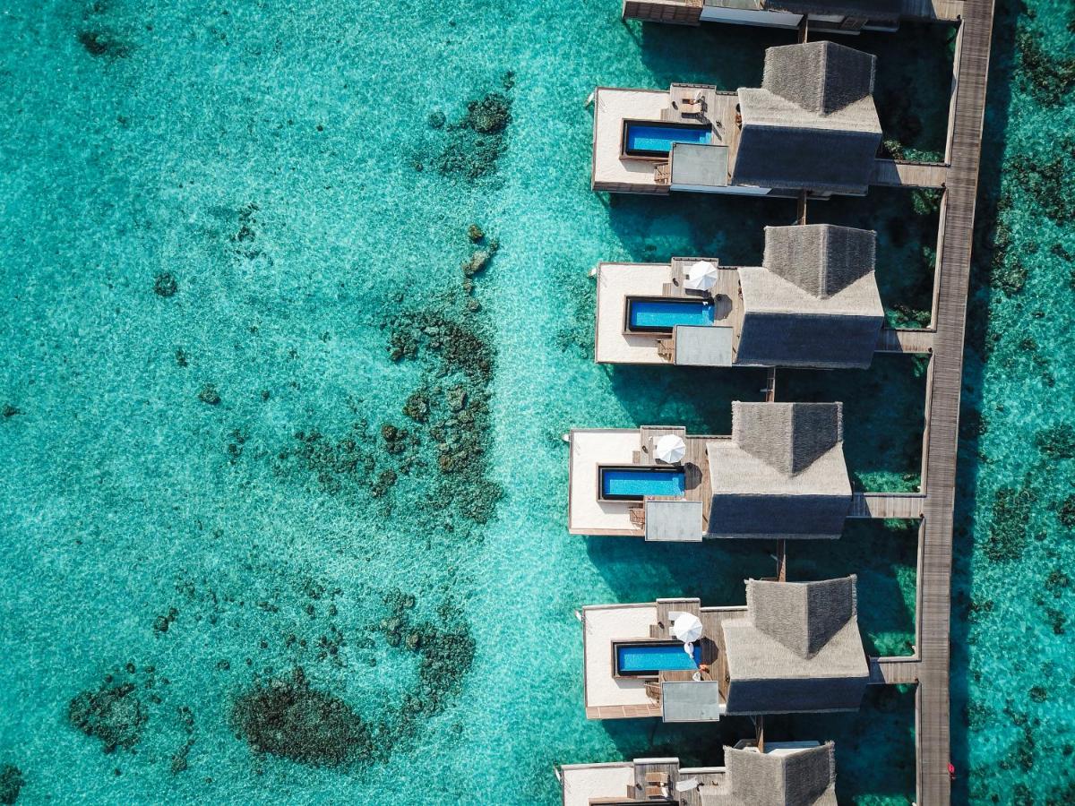 Sirru Fen Fushi Private Lagoon Resort Maldives