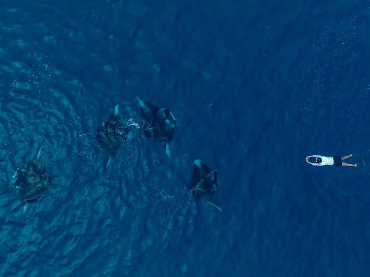 Sirru Fen Fushi Private Lagoon Resort Maldives