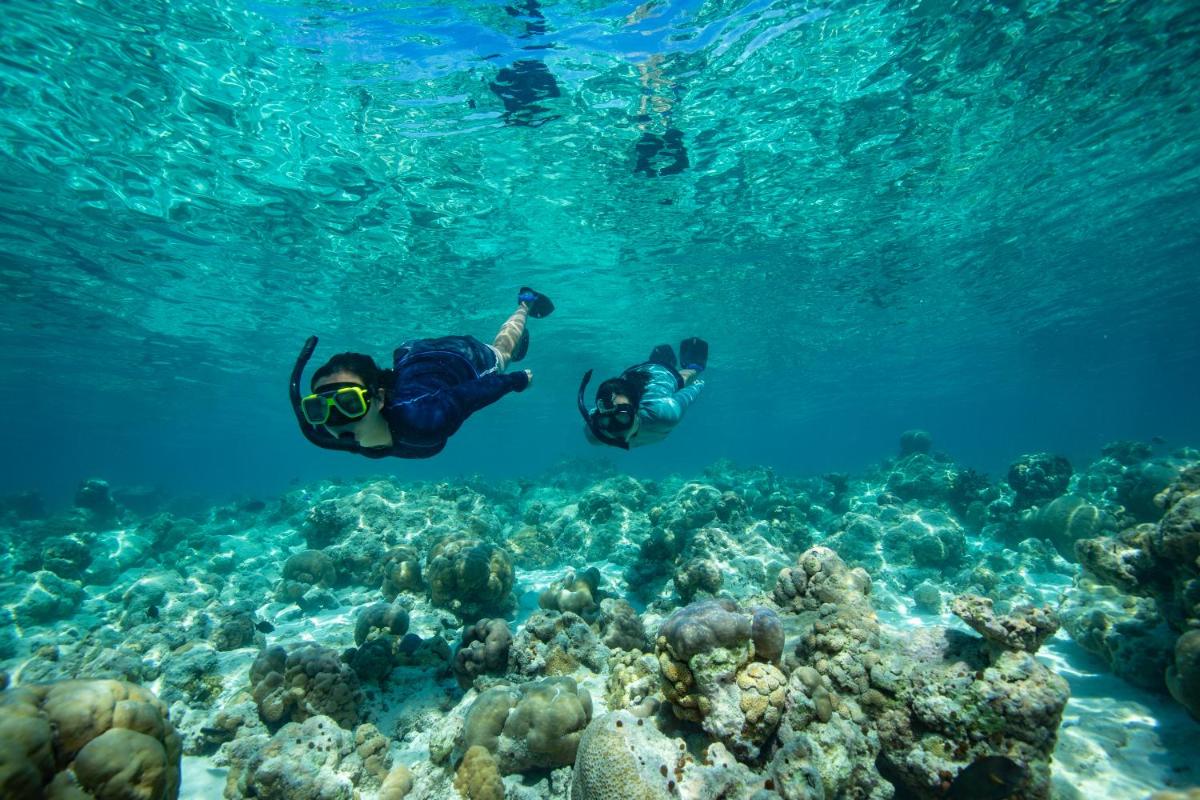 Sirru Fen Fushi Private Lagoon Resort Maldives