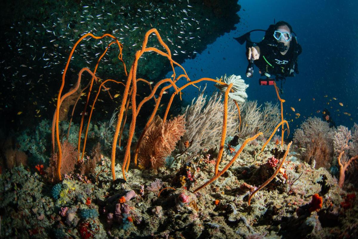 Sirru Fen Fushi Private Lagoon Resort Maldives