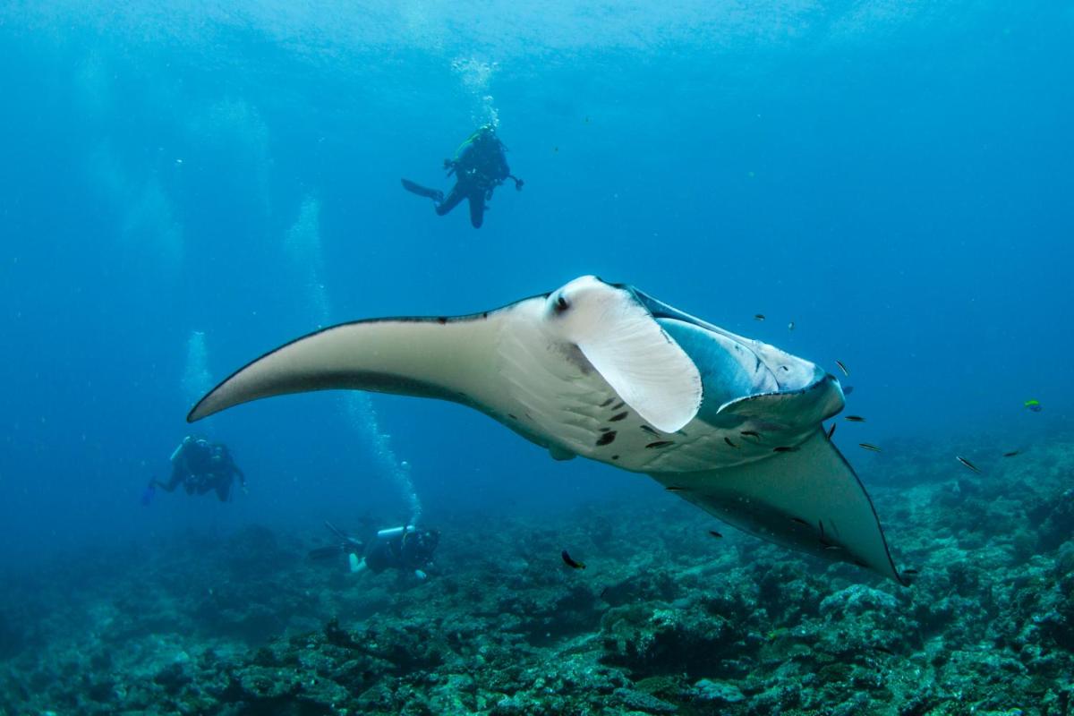 Sirru Fen Fushi Private Lagoon Resort Maldives