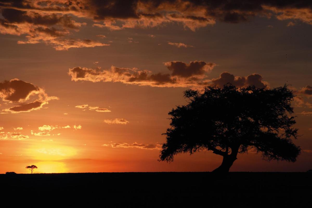 Fairmont Mara Safari Club