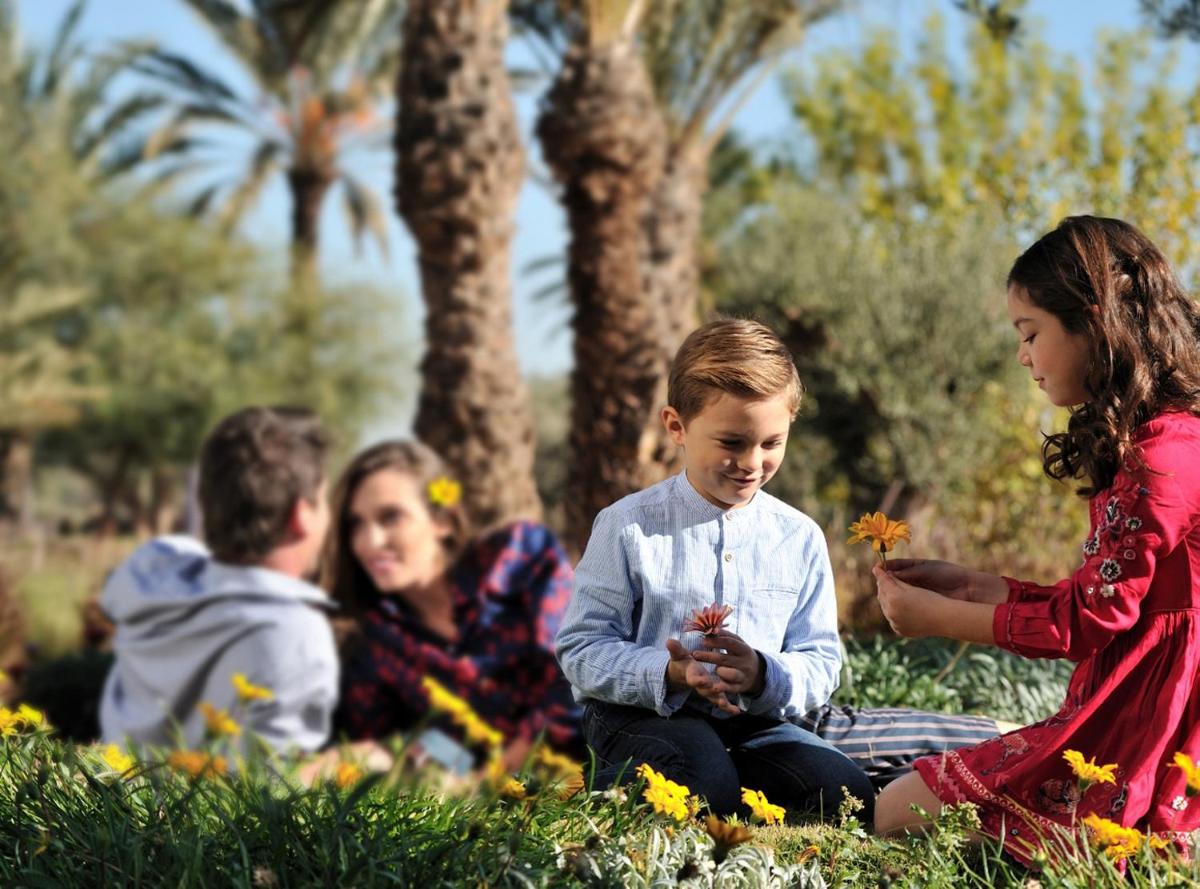 Fairmont Royal Palm Marrakech