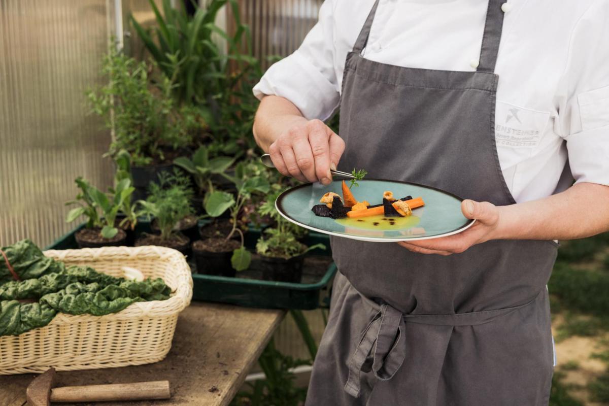 Falkensteiner Balance Resort Stegersbach l Adults Only