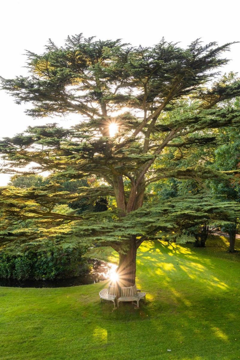 Farlam Hall Hotel & Restaurant