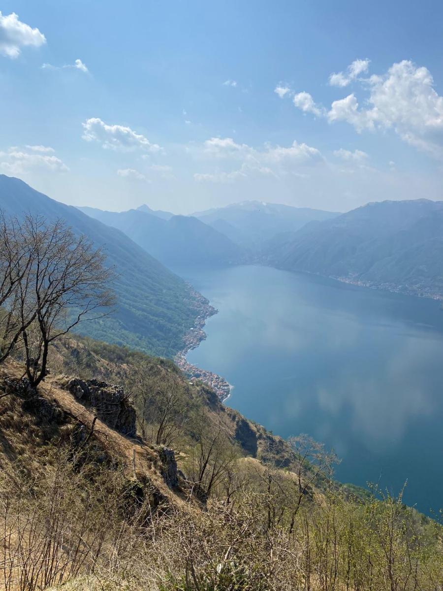 Filario Hotel & Residences