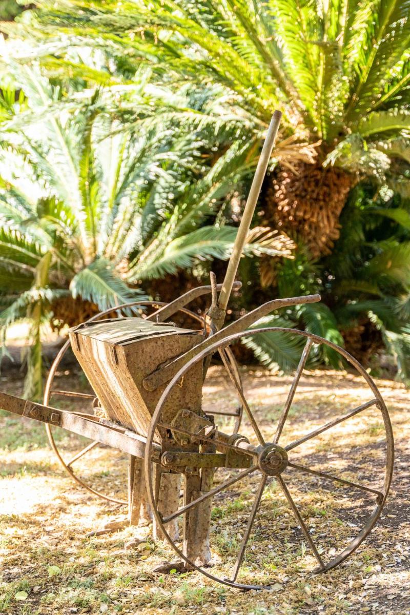 Finca Ca'n Quatre